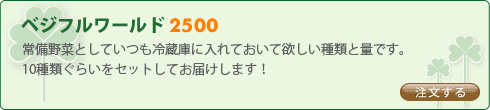 ベジフルワールド2500　常備野菜としていつも冷蔵庫に入れておいて欲しい種類と量です。10種類ぐらいをセットしてお届けします！