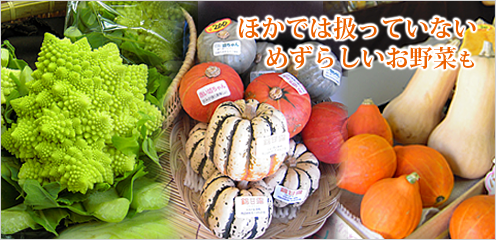 ほかでは扱っていないめずらしいお野菜も