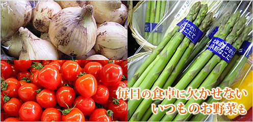 毎日の食卓に欠かせないいつものお野菜も