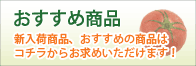 おすすめ商品